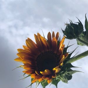 Meet your Posher, Tristen